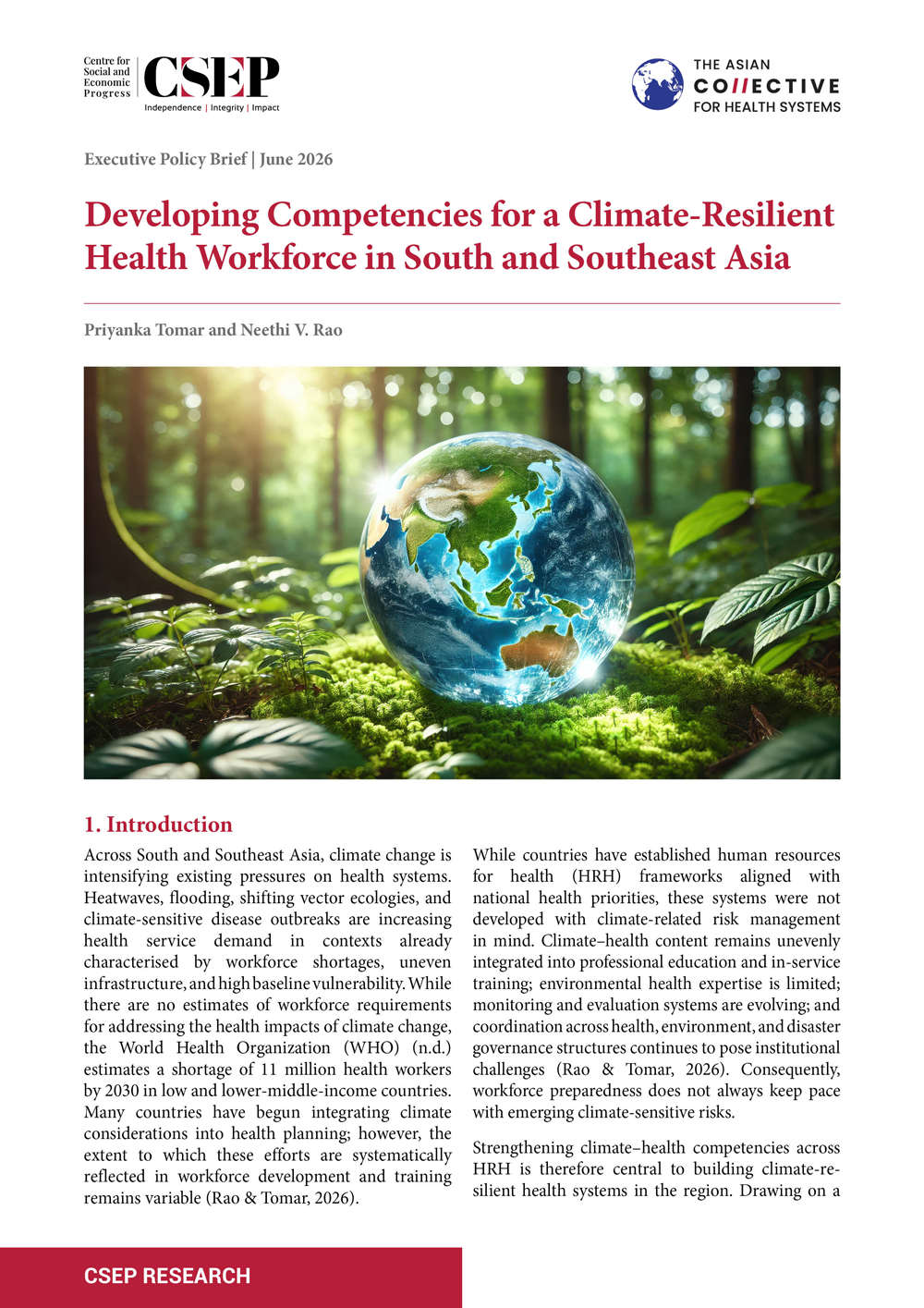 Download Executive Policy Brief